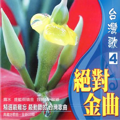 台灣歌 絕對金曲（4） (露水，提籃假燒金，我無醉，故鄉！)'s cover