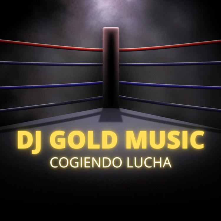 Dj Gold Music's avatar image