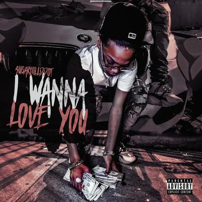 I Wanna Love You's cover