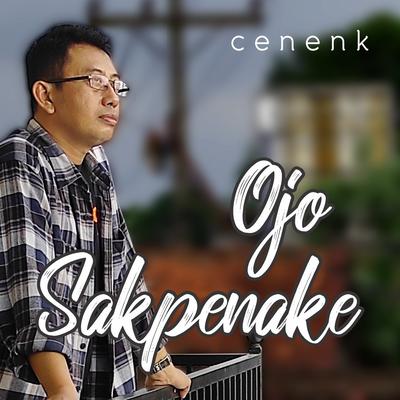 Cenenk's cover