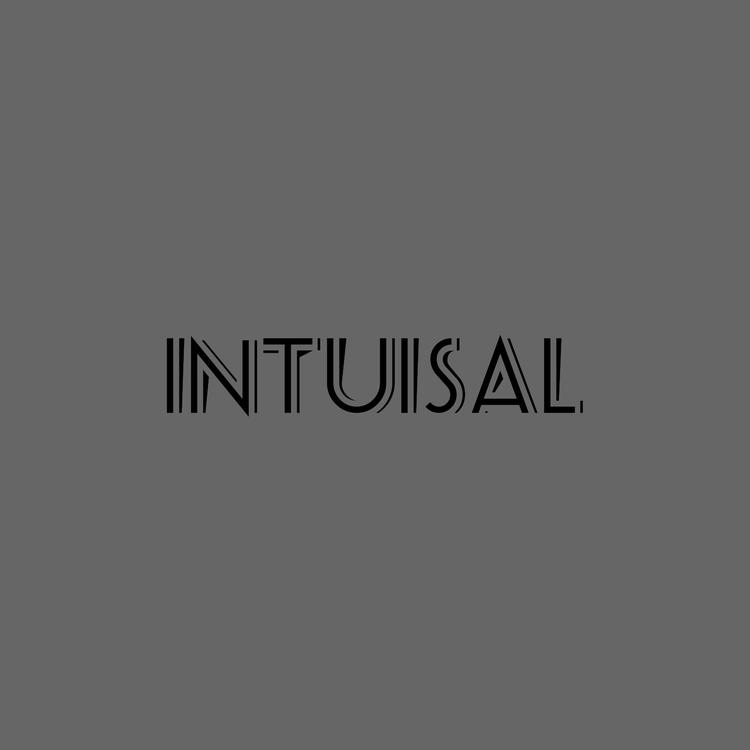 IntuisaL's avatar image