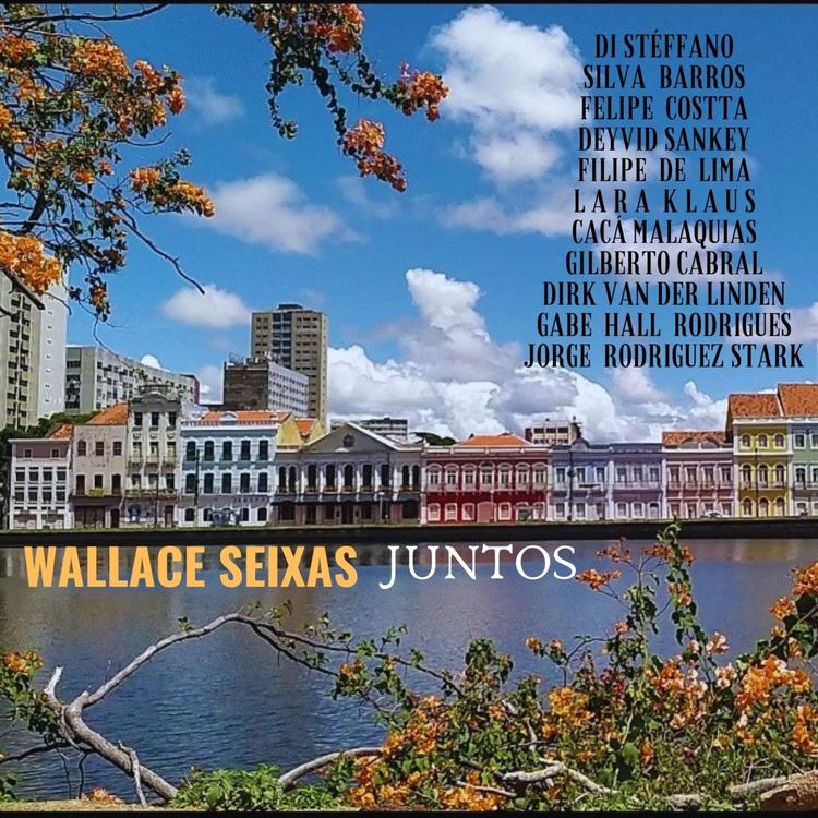 Wallace Seixas's avatar image