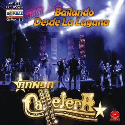 Bailando Desde la Laguna (En Vivo)'s cover