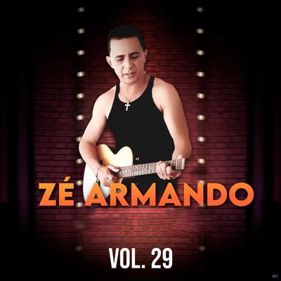 Zé Armando, Vol. 29's cover