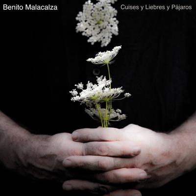 Dos Perros Guachos By Benito Malacalza's cover
