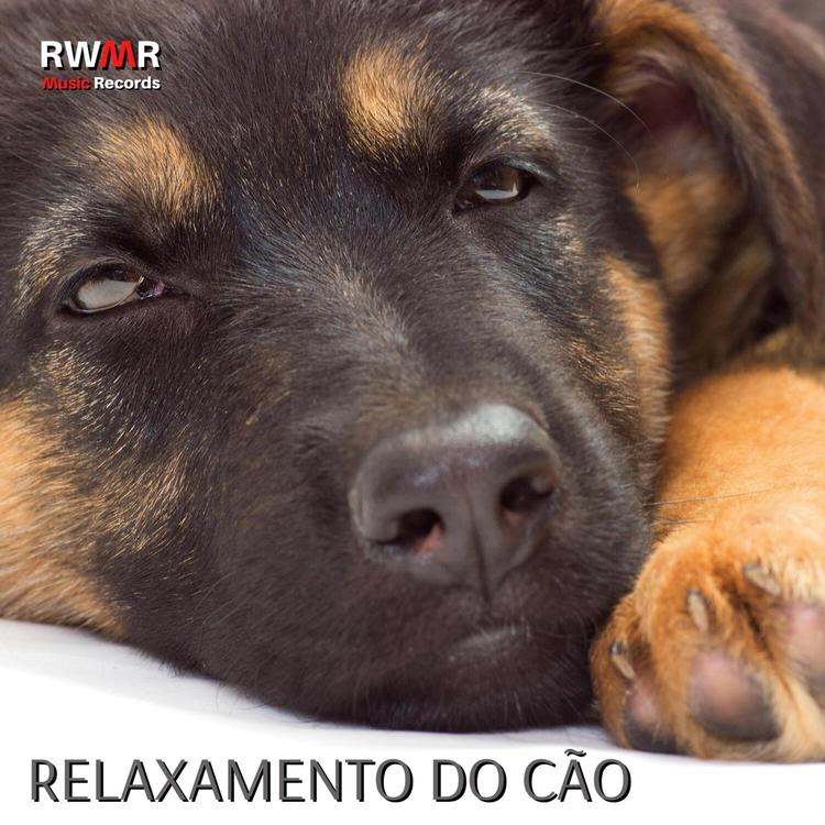 RW Zona de Relaxamento para Cães's avatar image