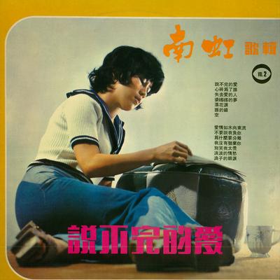 淡淡的情愁's cover