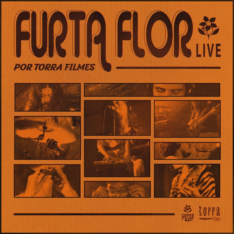 Furta Flor's avatar image