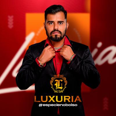 A Loja Fechou pra Voce By Banda Luxúria's cover