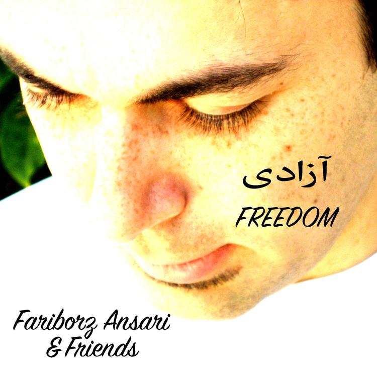 Fariborz Ansari's avatar image