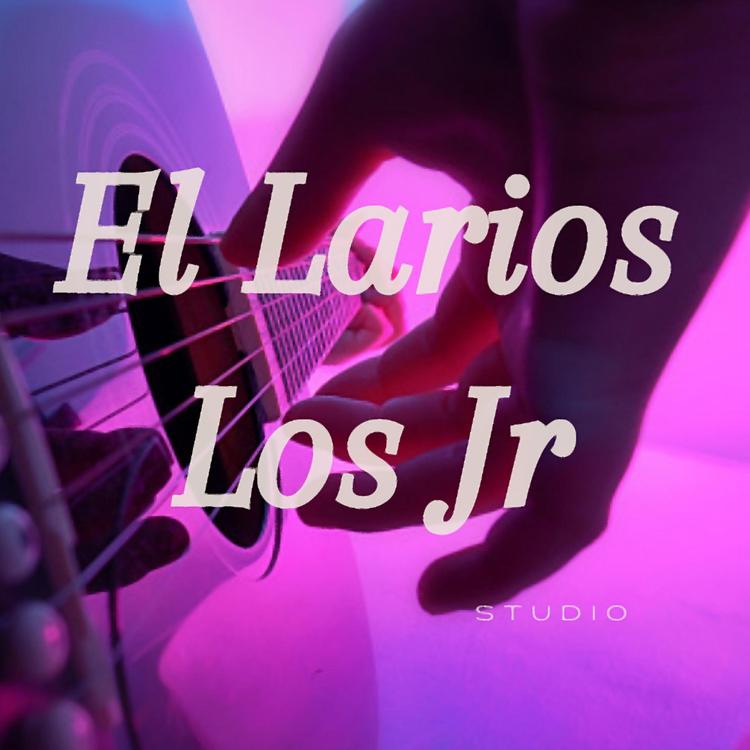 Los Jr's avatar image