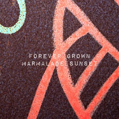 make it right By forever grown's cover