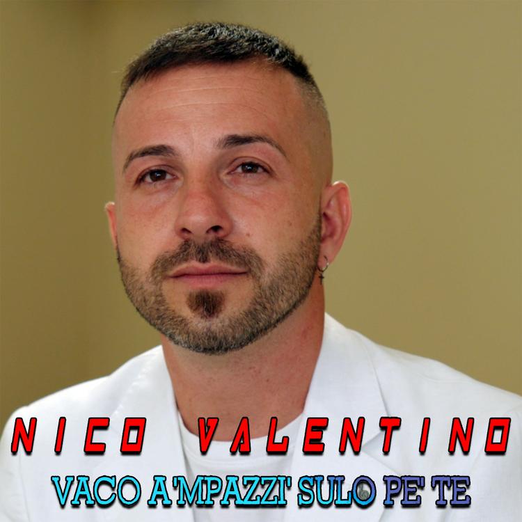 Nico Valentino's avatar image