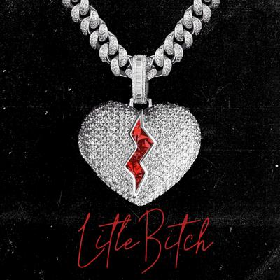 Litle Bitch's cover