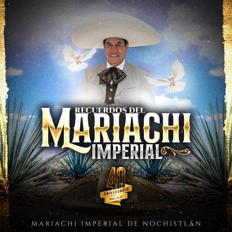 Mariachi Imperial de Nochistlan's avatar image