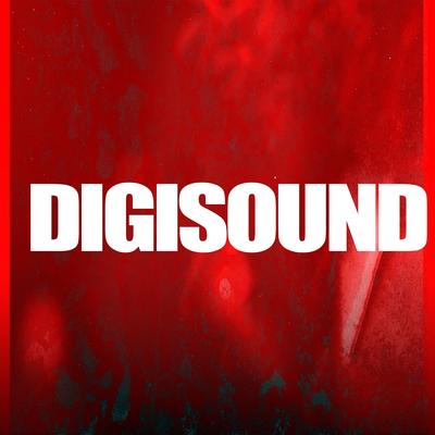 Digisound's cover