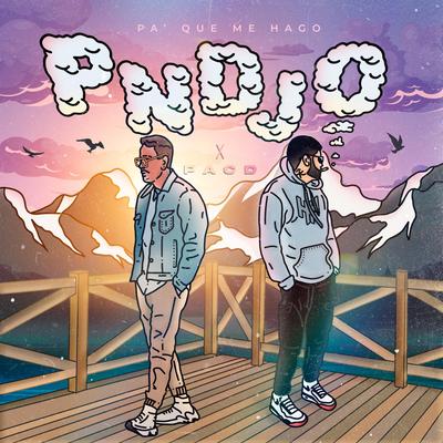 Pa' Que Me Hago Pndjo (feat. PACD)'s cover
