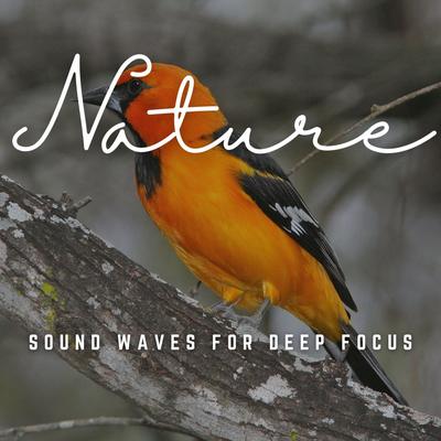 Harmonic Flow: Sound Waves for Deep Focus's cover