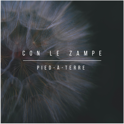 Con Le Zampe By Pied-à-Terre's cover