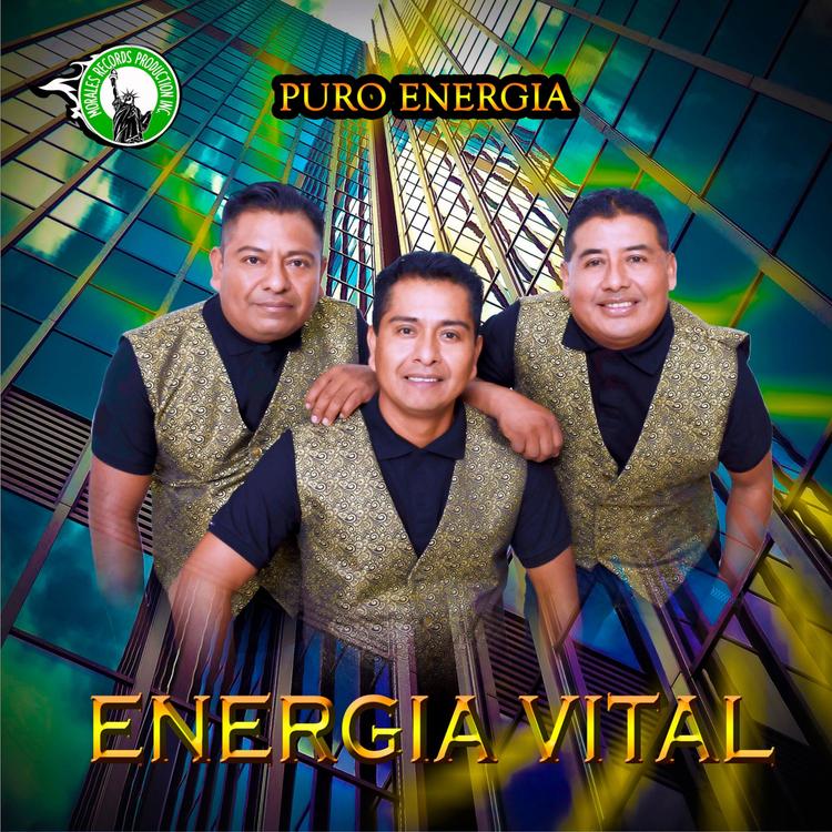 Energia Vital's avatar image