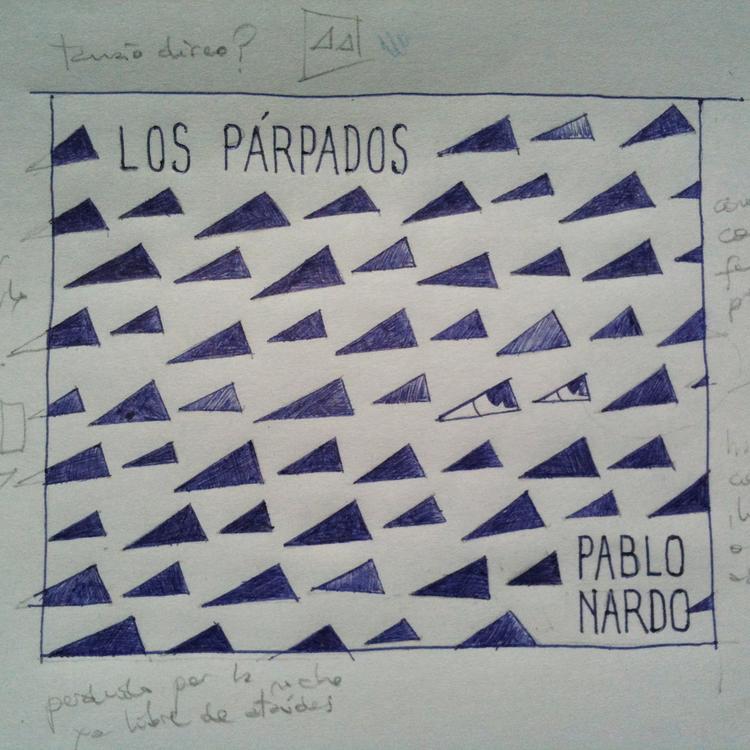 Pablo Nardo's avatar image