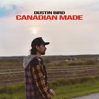Dustin Bird's avatar cover