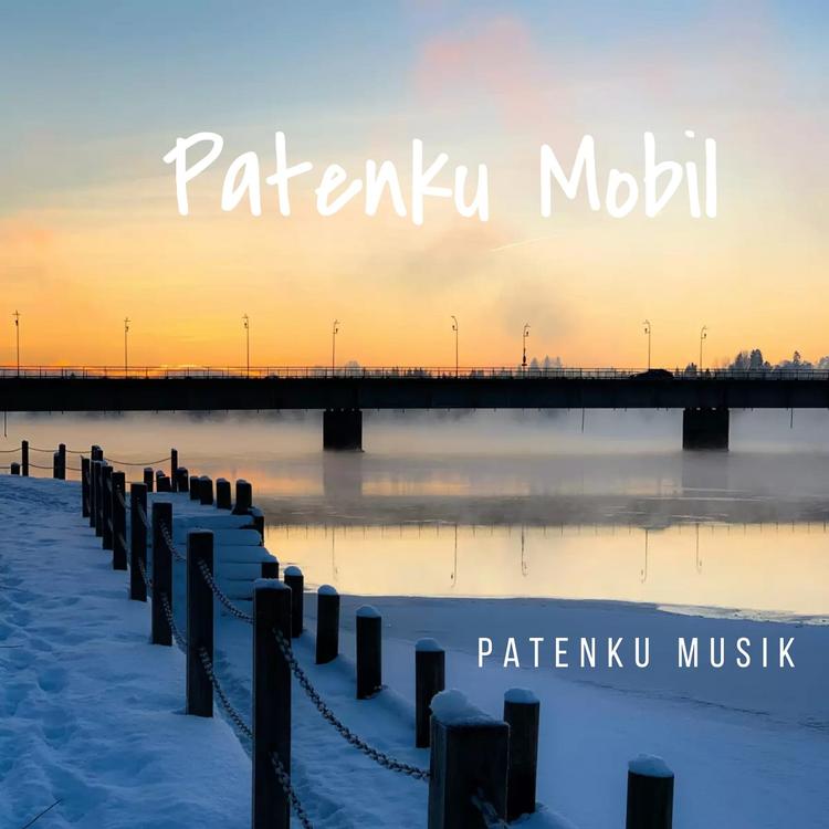 Patenku Musik's avatar image