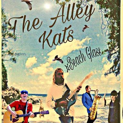 SHUT EYE By The Alley Kats's cover