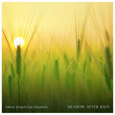 Meadow After Rain By Nature Sounds Like Freedom's cover