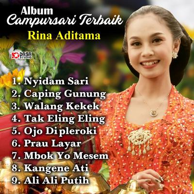 Album Campursari Terbaik's cover