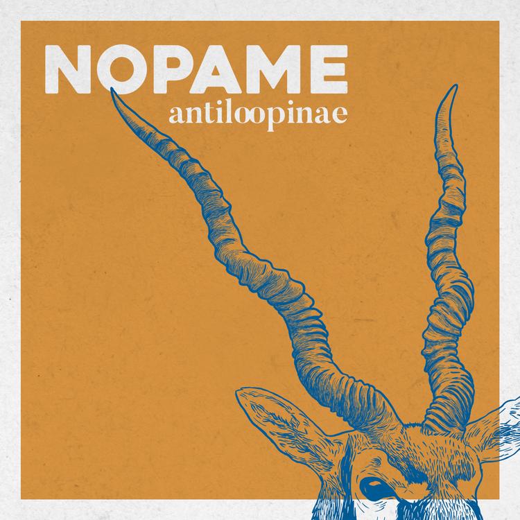 Nopame's avatar image