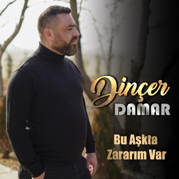 Dinçer Damar's avatar image