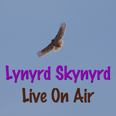 Lynyrd Skynyrd Live On Air's cover