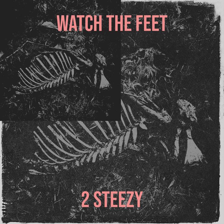 2 steezy's avatar image