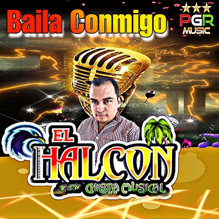 El Halcon Y Su Chispa Musical's avatar image