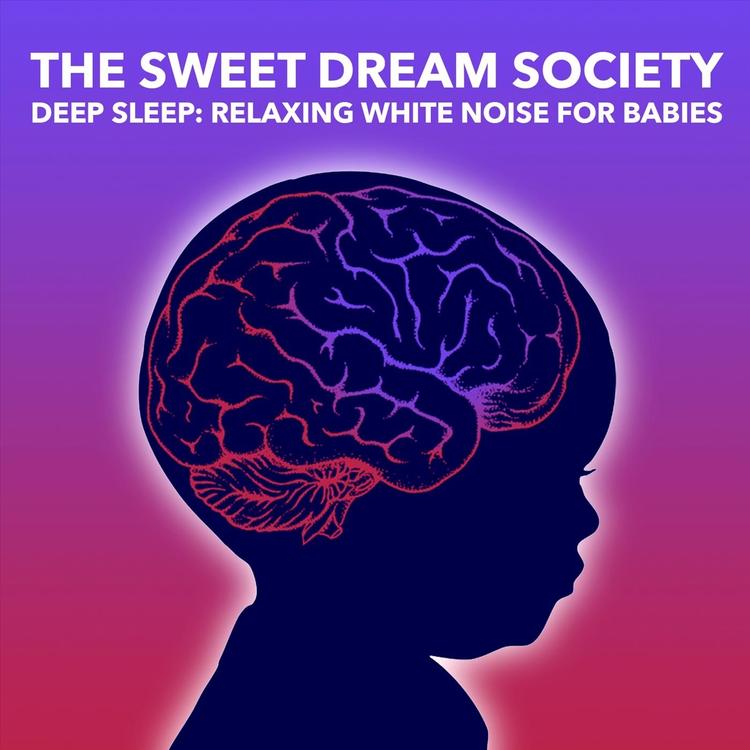 The Sweet Dream Society's avatar image