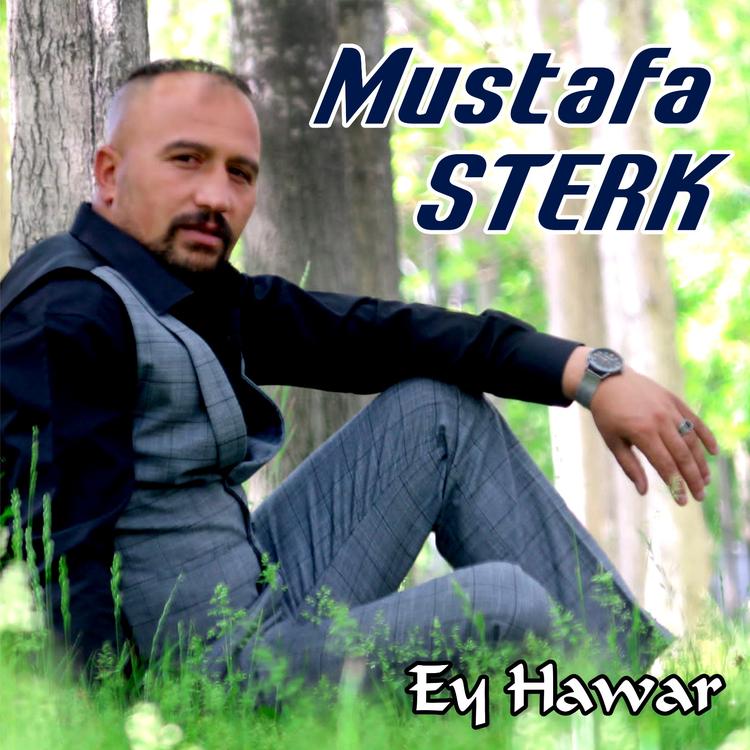 Mustafa Strek's avatar image