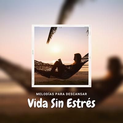 Vida Sin Estrés's cover