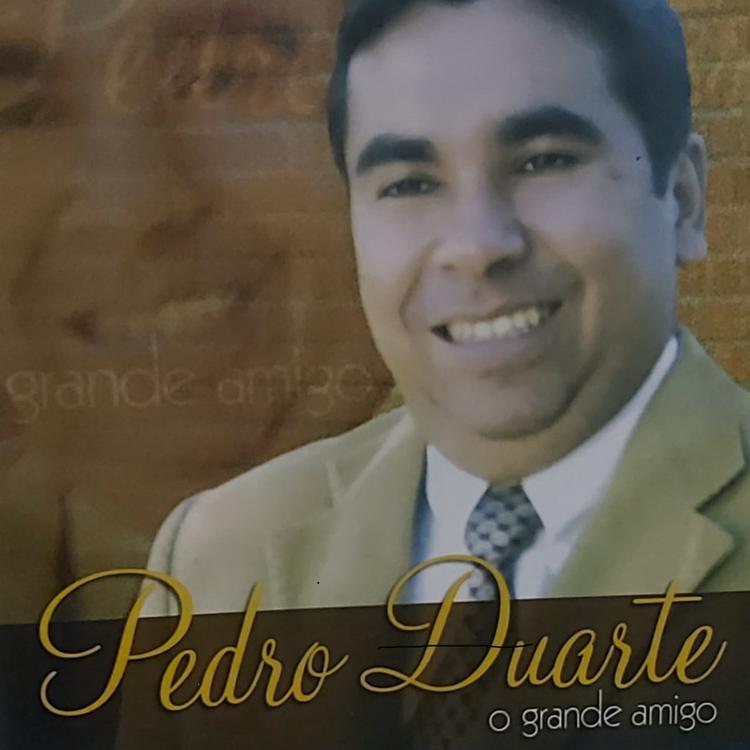 Pedro Duarte's avatar image