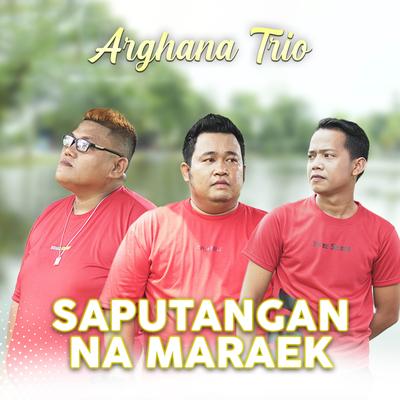 Saputangan Na Maraek's cover
