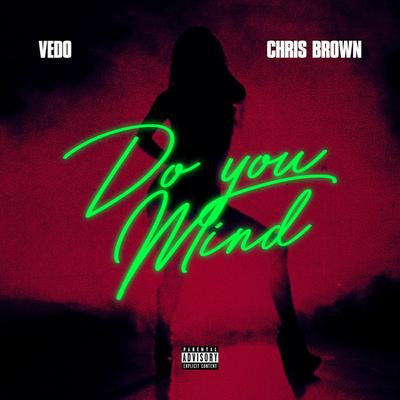 Do You Mind By Vedo, Chris Brown's cover