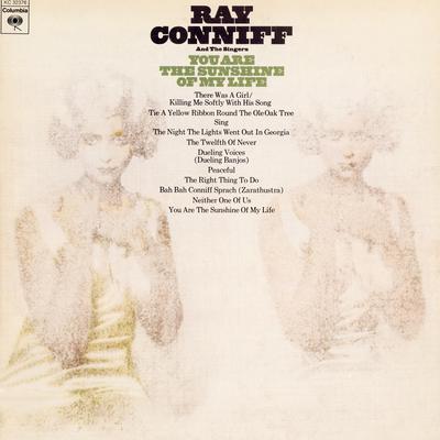 You Are The Sunshine Of My Life (Album Version) By Ray Conniff's cover