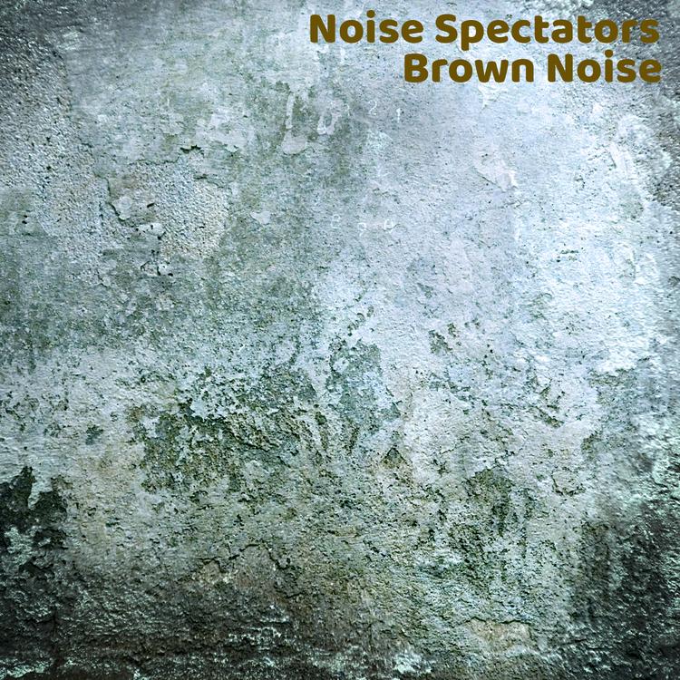 Noise Spectators's avatar image