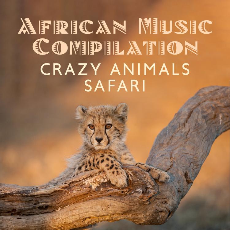 African Music Drums Collection's avatar image