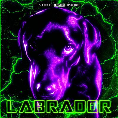 LABRADOR's cover