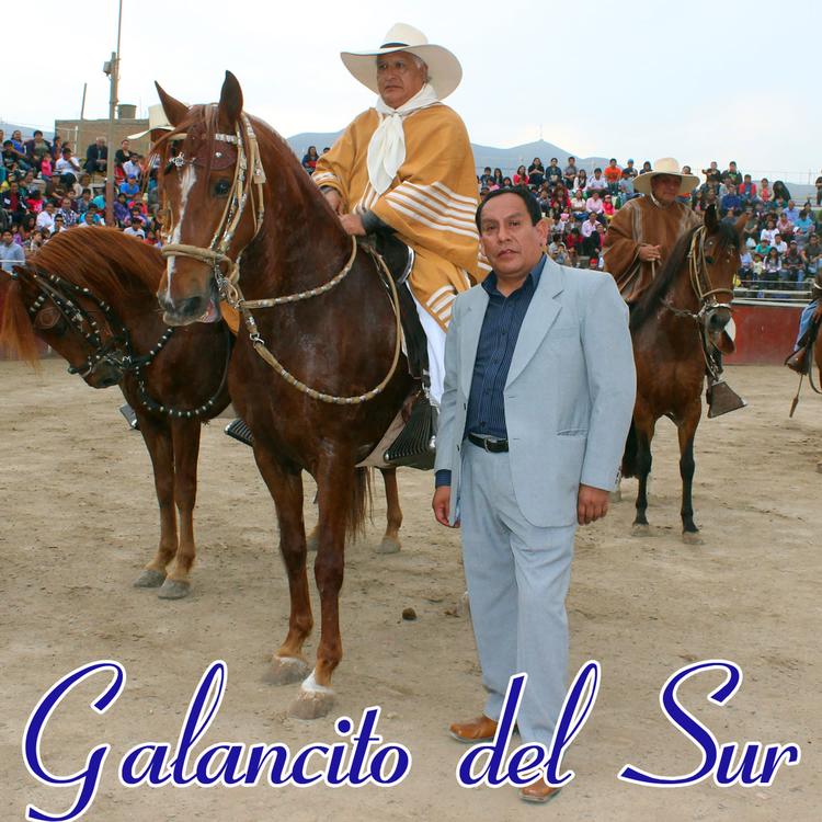 GALANCITO DEL SUR|HUAYNO CON ARPA Y VIOLIN's avatar image