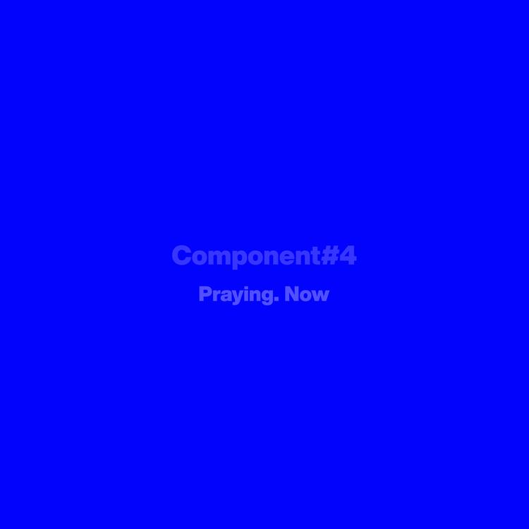 Component#4's avatar image