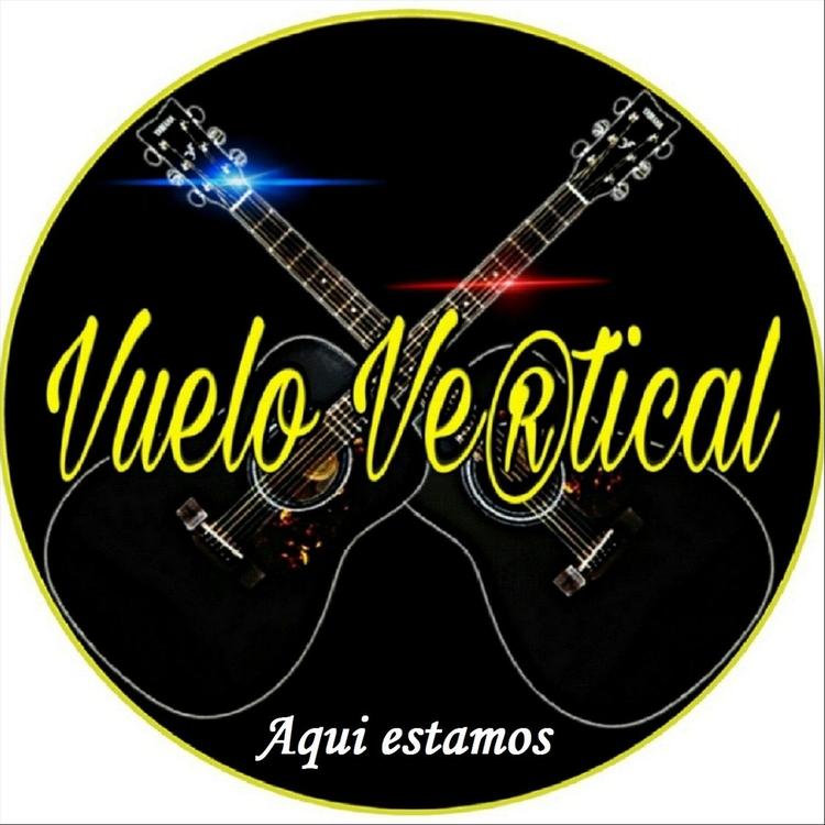 Vuelo Vertical's avatar image