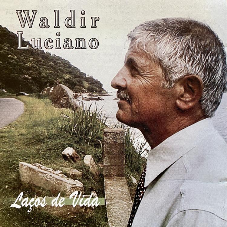 Waldir Luciano's avatar image