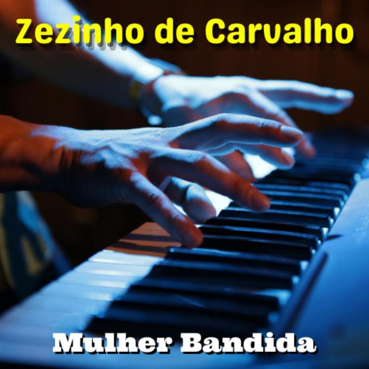 Zezinho de Carvalho's avatar image